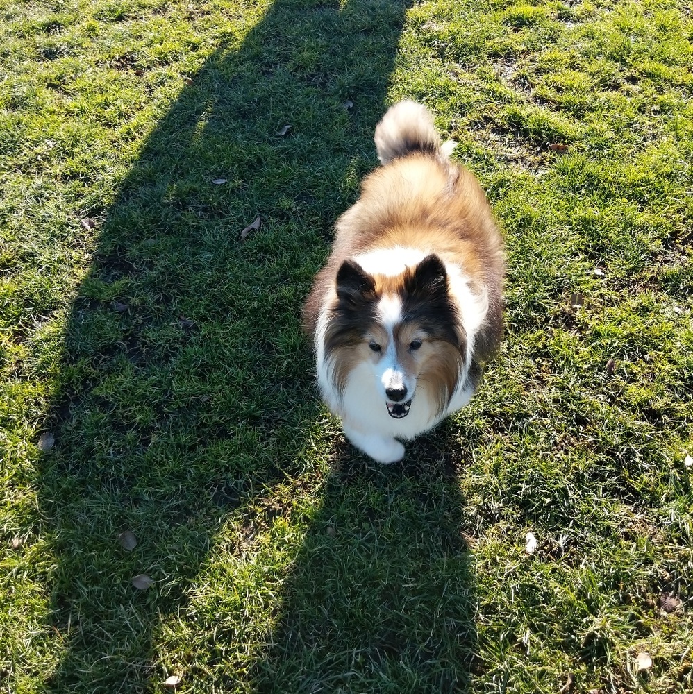 Meet your Posher, Heather